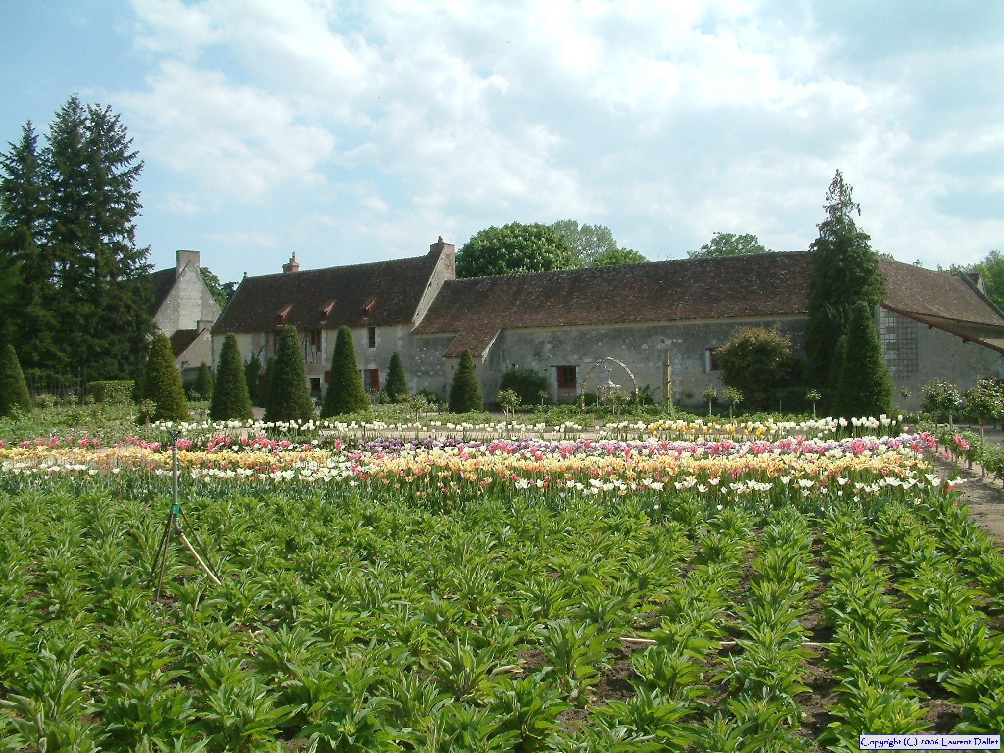 Loire 007
